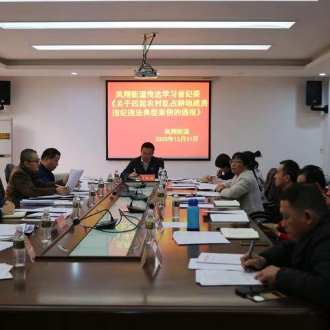 凤翔街道传达省纪委关于四起农村乱占耕地建房违纪违法典型案例的通报