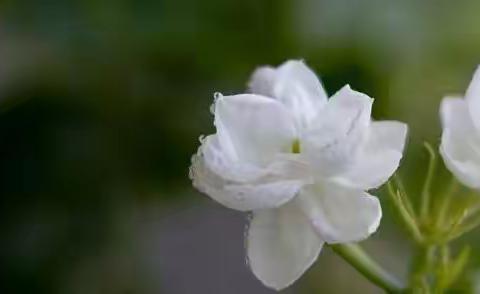 【夏季保健】疱疹性咽峡炎和手足口病的预防