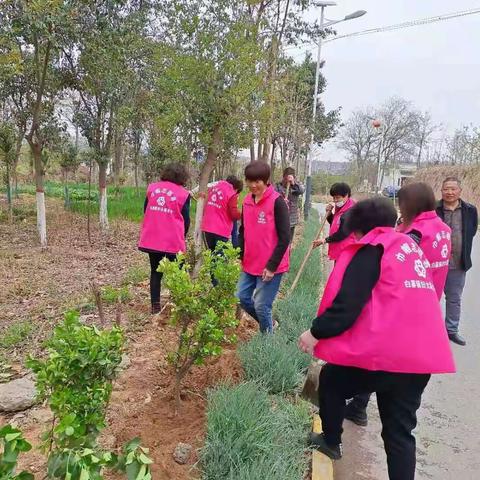 春回大地润新绿，巾帼植树斗芳华