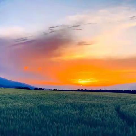 没有删除的风景