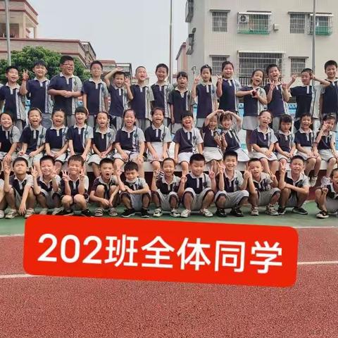 感恩遇见，美好相伴，——202班一学期实录