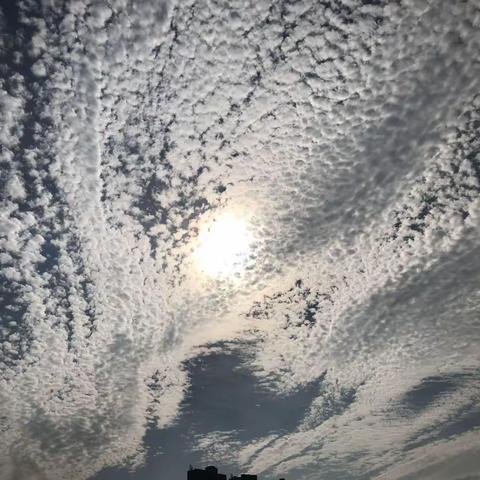 日记——风雨云飘飘