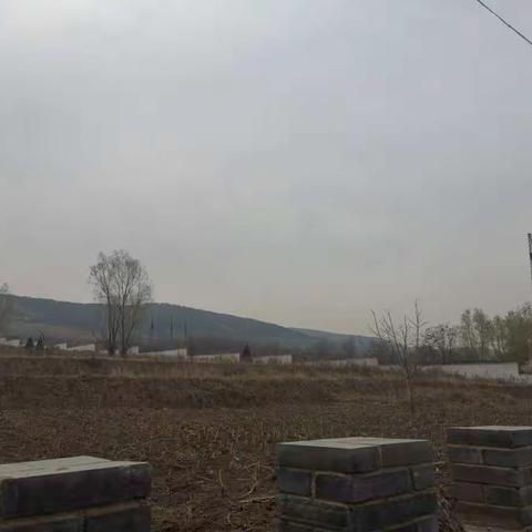 潞州区驻村服务组第65组3月27日工作动态