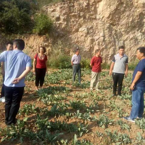 农村技术承包项目中期检查