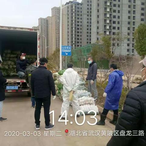 固管中心3月3日突击简报