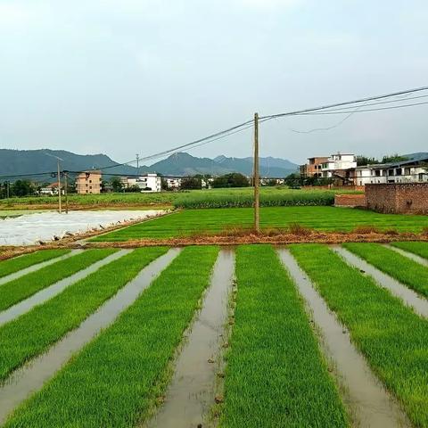 在梓山，瞻仰将军故里