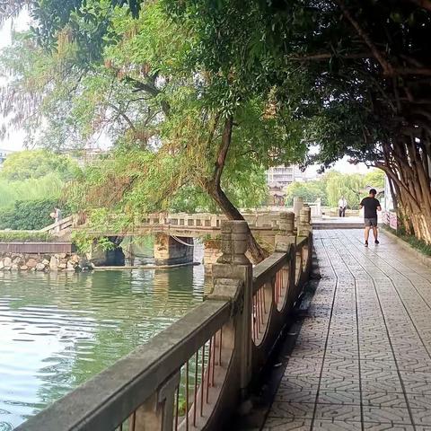 归隐东湖
