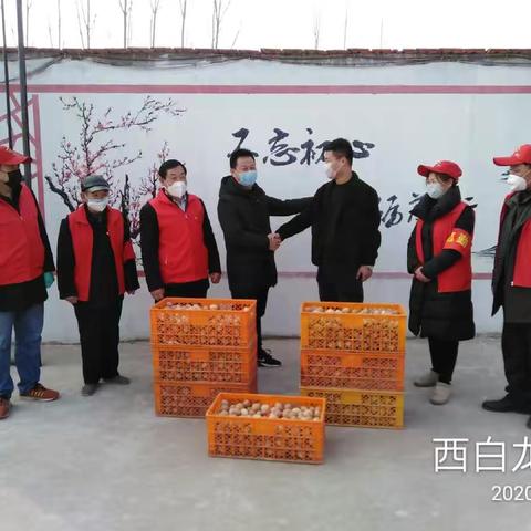 西白龙村封村第十四天（正月十四）          ———志愿者缩影、出入人员存档篇