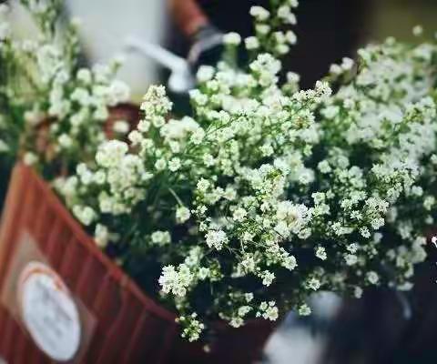 居家学习——成长不延期                                 徐木中心幼儿园中班