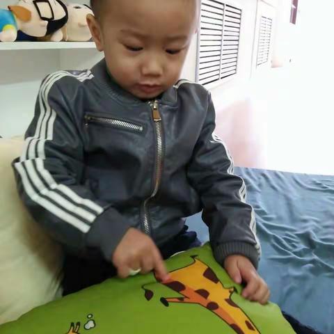 常青藤幼儿园托班张可乐小朋友成长印记