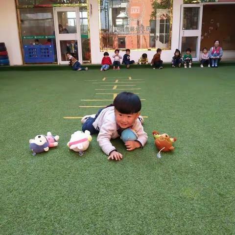 《拯救小动物》