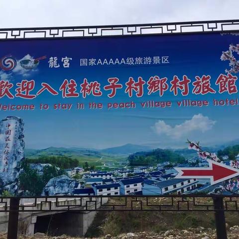 最美乡村一龙宫桃子村