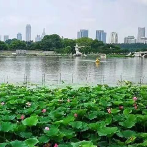 夏季保健小常识！