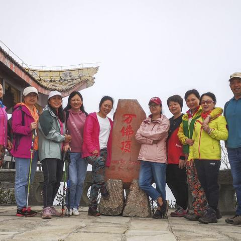 峨眉山万佛顶观高山杜鹃花
