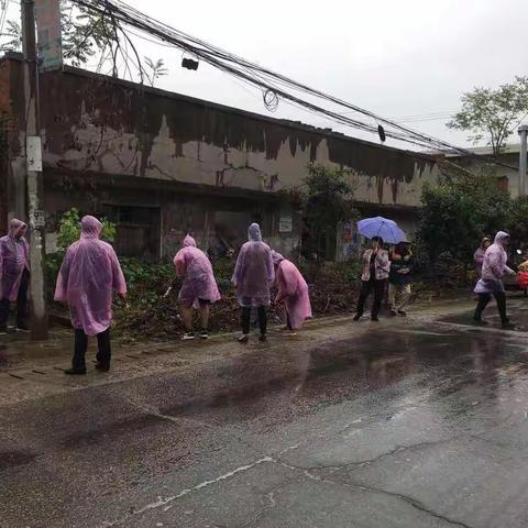 前卫镇人居环境整治之冒雨打扫卫生篇