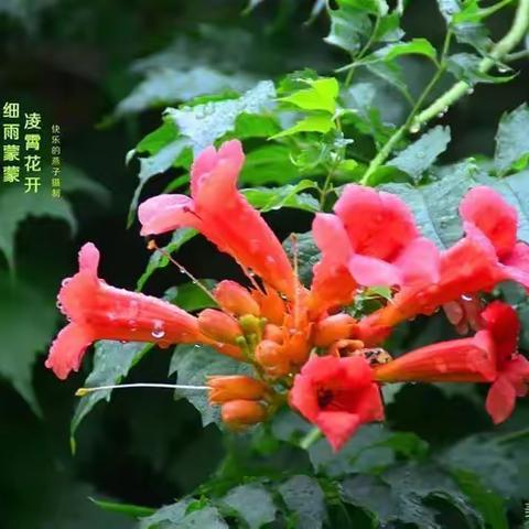 河南亲亲一家人