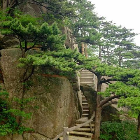 黄山—美不胜收