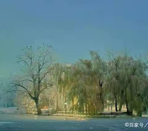 品味不一样的人生的美篇