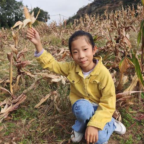 走进田间，感受土地的馈赠