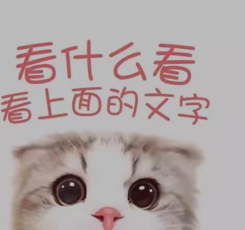 老人说老人❤实话实说