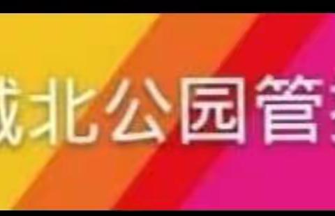 城北公园管护中心—“消防安全、远离火灾”文景山公园进行消防安全培训