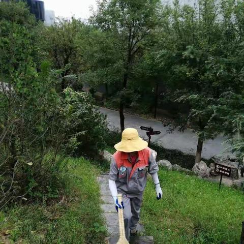 城北公园管护中心-文景山公园日常管护工作