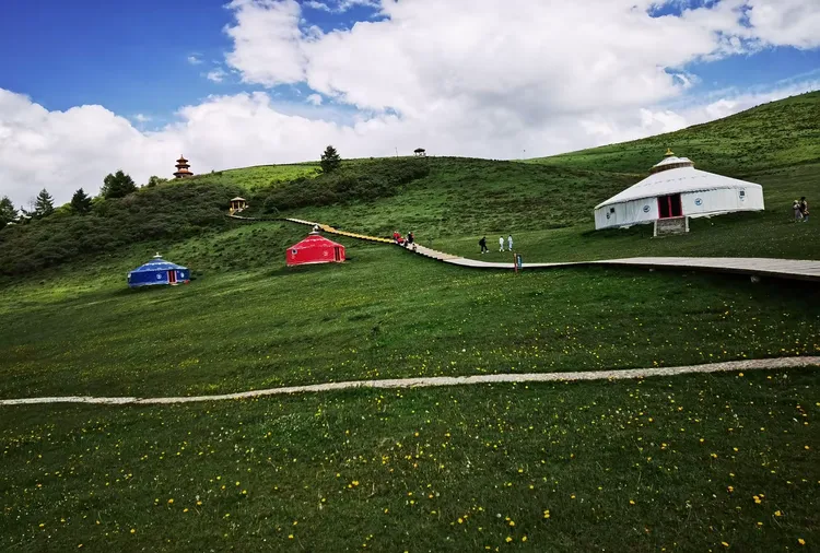 美丽的狼渡湿地草原