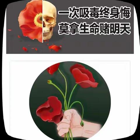 春季踏查，罂粟必铲，让“罪恶之花”无处绽放！