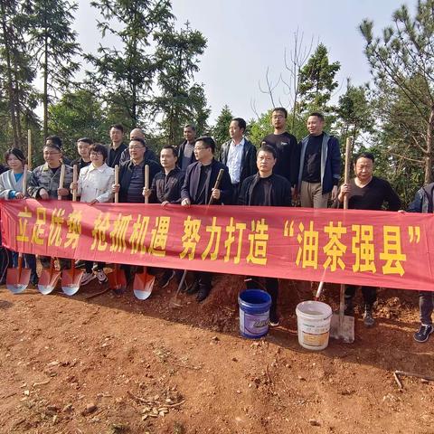 “春回暖意浓，植绿正当时”——县林业局、下塘乡联合开展春季油茶义务植树活动