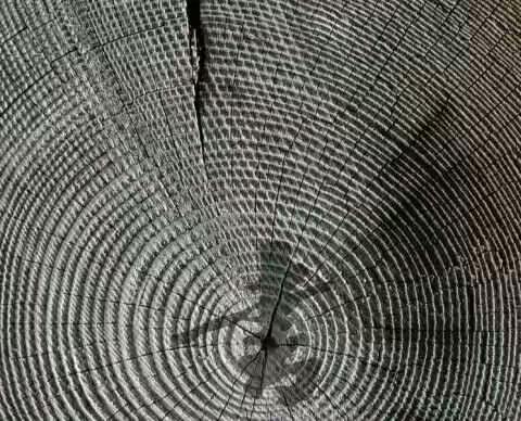 这6种人，干脆你就别练书法了，浪费时间！