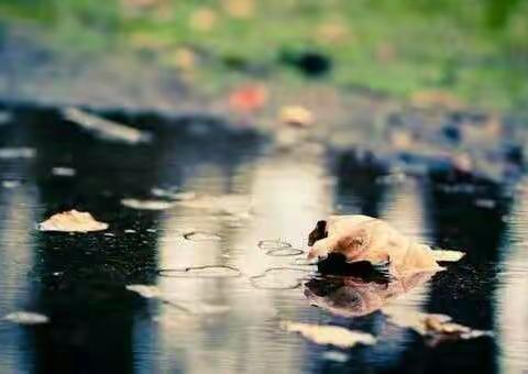 送给2017年为书法教育做出贡献的朋友，这是一首最火的诗