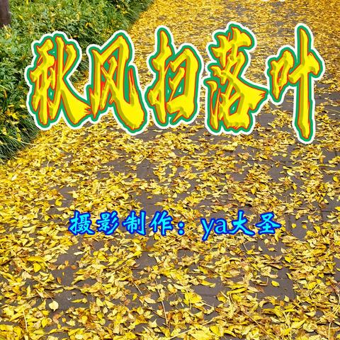 秋风扫落叶