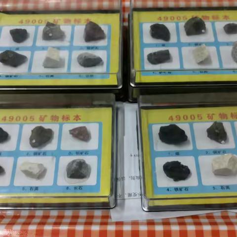 科学始于观察           第二实验小学 四（7）班