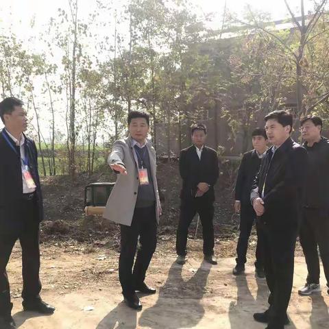 淮阳区人大常委会副主任张凌君到临蔡督导五查五确保和人居环境整治工作