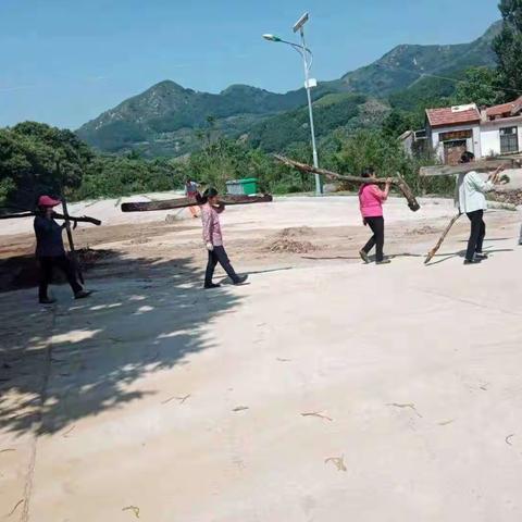 独路村加强整治力度，切实做好村里卫生工作