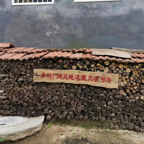 大王庄镇独路村：有序推进人居环境整治