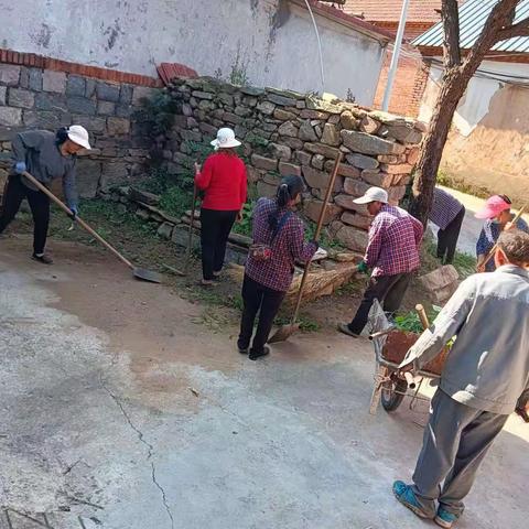 大王庄镇独路村：加大整治力度，提升人居环境质量