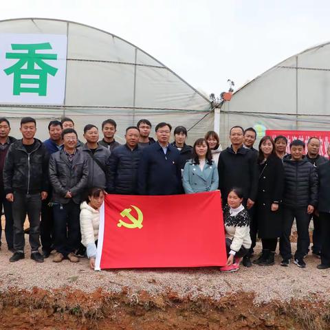 共建美丽乡村  共享美好生活