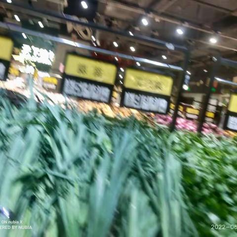 中百仓储建始店蔬菜对竞争门店百优品市调明细