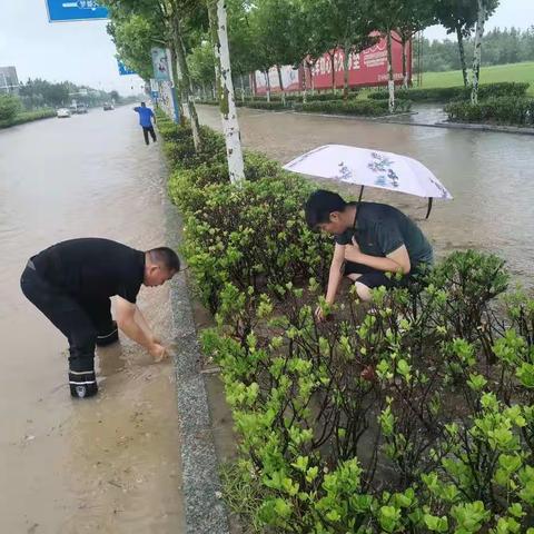 暴雨来袭 洋河城管迅速行动全力排水抢险