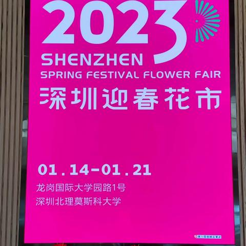 迎新春，逛深圳花市、观北莫校园(G2023-01-18)