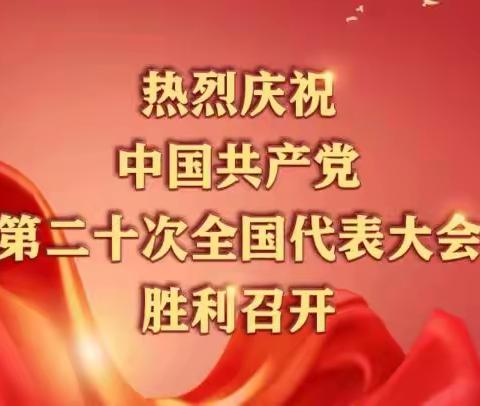 激情澎湃观盛会 众志成城谱新篇——河北区税务局组织全体党员干部集中收看党的二十大开幕直播