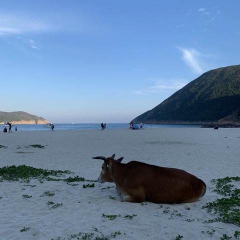 香港浪茄湾