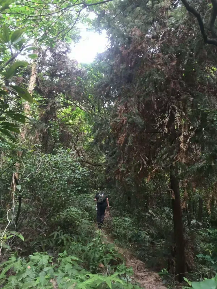 从传说中的无名小路直奔上山,希望无走错路吧