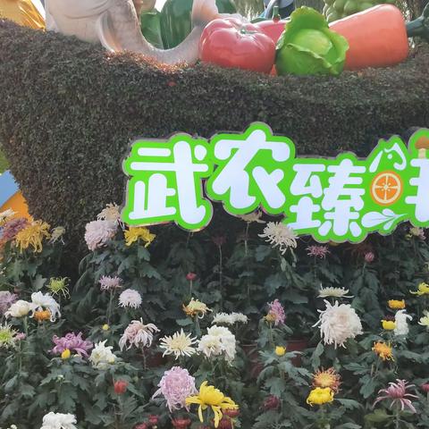 武汉菊花展