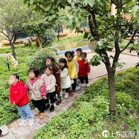 延期不暂学  宅家一样学——小班幼儿线上学习篇