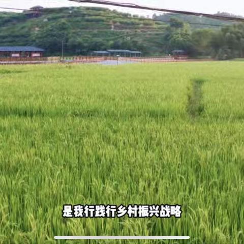 建宁县中国银行成功获批“种农惠贷”个人经营贷款