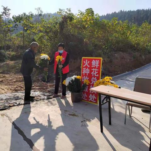 倡导鲜花缅怀 弘扬文明新风