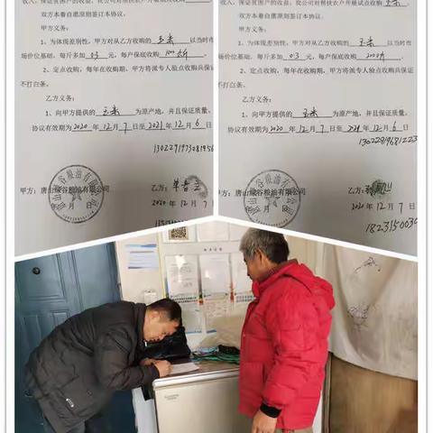 爱心企业似春风入户，高价收粮为脱贫家庭增收