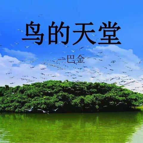 近悦远来的美篇